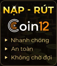 nạp tiền bằng coin12